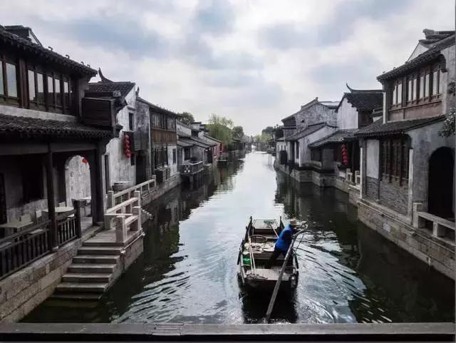 变异动物之战